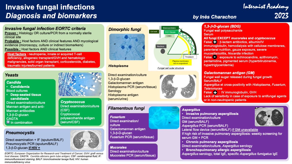 Biomarkers in invasive fungal infections - By Ines Charachon (fellow in Internal Medicine, Paris, France) #fungi #infections #biomarkers #InternistAcademy 2023