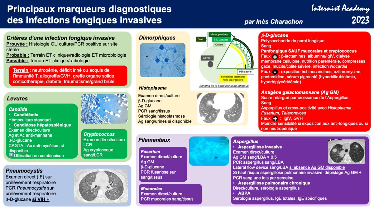 Marqueurs diagnostiques des infections fongiques invasives - Par Ines Charachon (interne en Médecine Interne, Paris, France) #fongique #biomarqueurs #diagnostic #InternistAcademy 2023