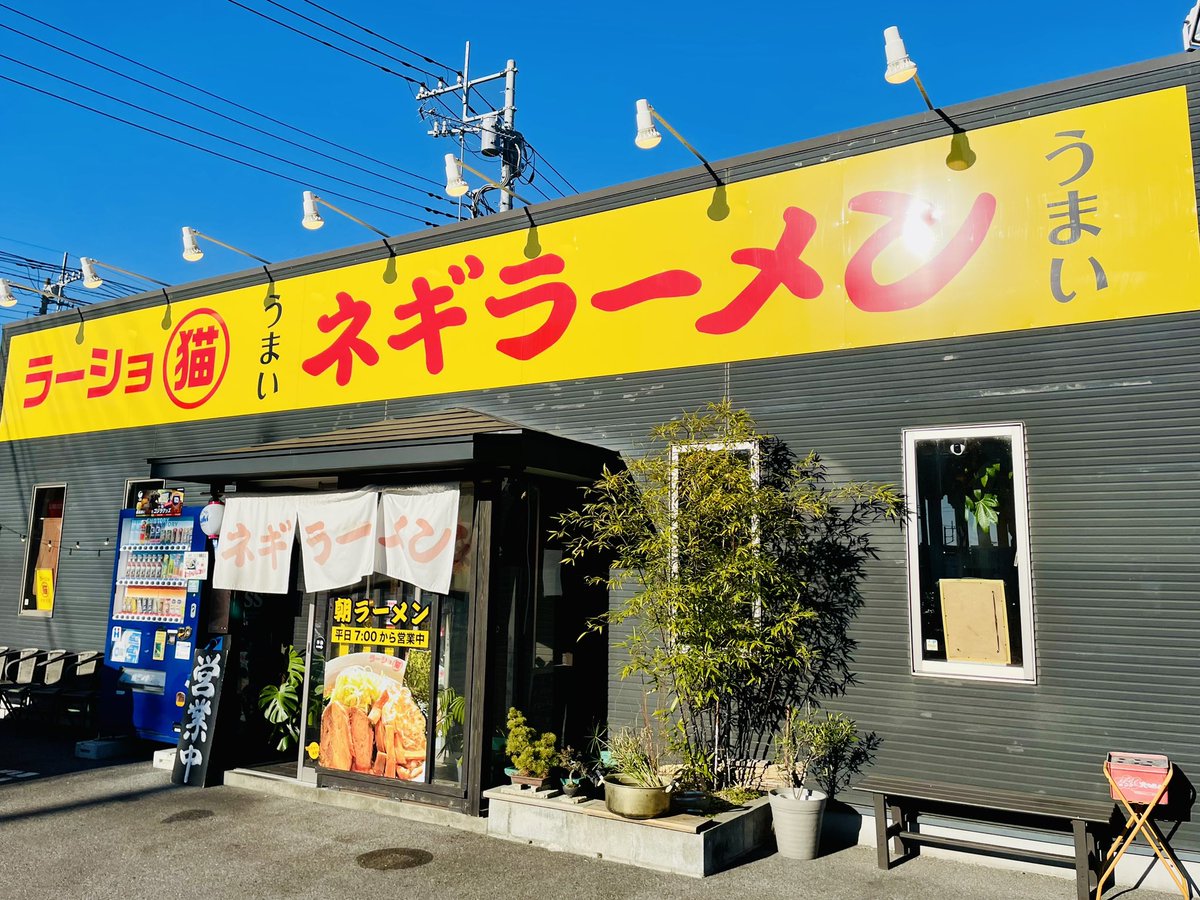 yamabee19's tweet photo. 栃木県宇都宮市のラーショマルミャー宇都宮店に行ってきましたー‼️

注文は、ネギラーメン(醤油中盛り)🍜✨

やっぱ旨いねんねー👍👍👍✨

 #ラーショマルミャー
 #ラーメン
 #ネギラーメン
 #栃木県宇都宮市
 #丸猫 https://t.co/l2nhGucg64