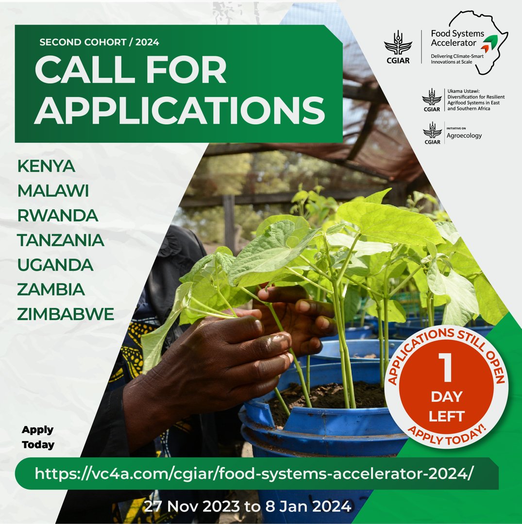 CGIAR's tweet photo. 🚨LAST CHANCE TO APPLY: Learn more about the #CGIARFoodSystemsAccelerator call for applications and apply today before 11:59 pm CAT. 
Apply here: https://t.co/hdHapwlxqU https://t.co/7PQcCuat2Y