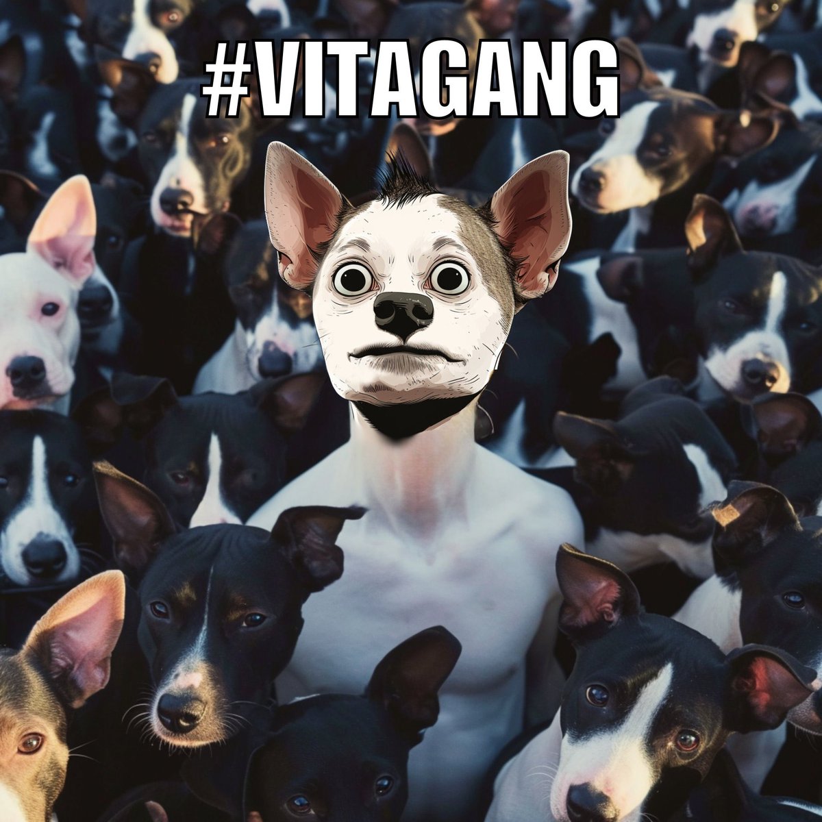 Scrypto (₳) tweet media