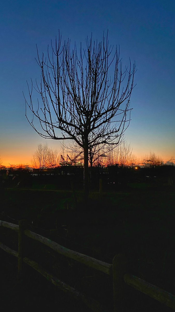 MoonMaassluis's tweet photo. Net nadat het zonnetje onderging liepen we nog even langs het Scheur! Dit is toch adembenemend mooi!! Kijk naar die kleuren πΈπ #maassluis #maassluiswatbenjemooi #hetscheur #zononder #zonnetjeonder #mooiekleuren #wandelen #ervaarmaassluis https://t.co/bv8hl76FGx