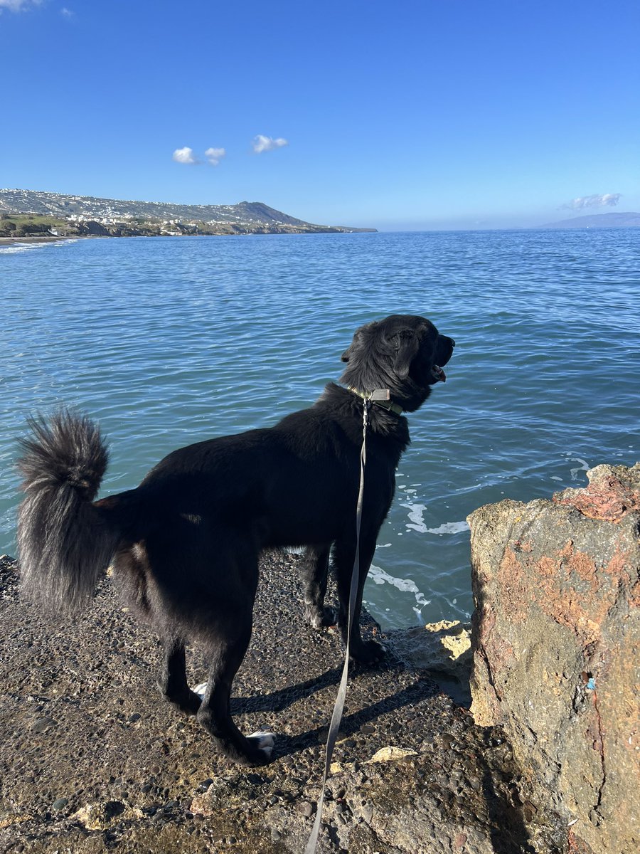 Έτοιμος για βουτιές