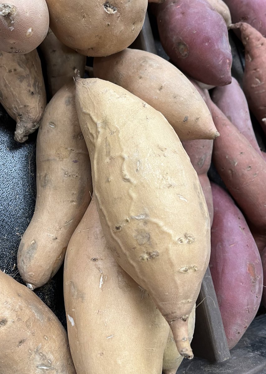 Nick Mark MD tweet media