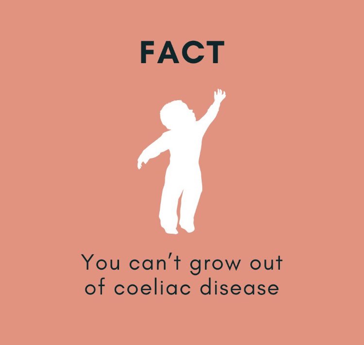 Elizabeth McDonald tweet media