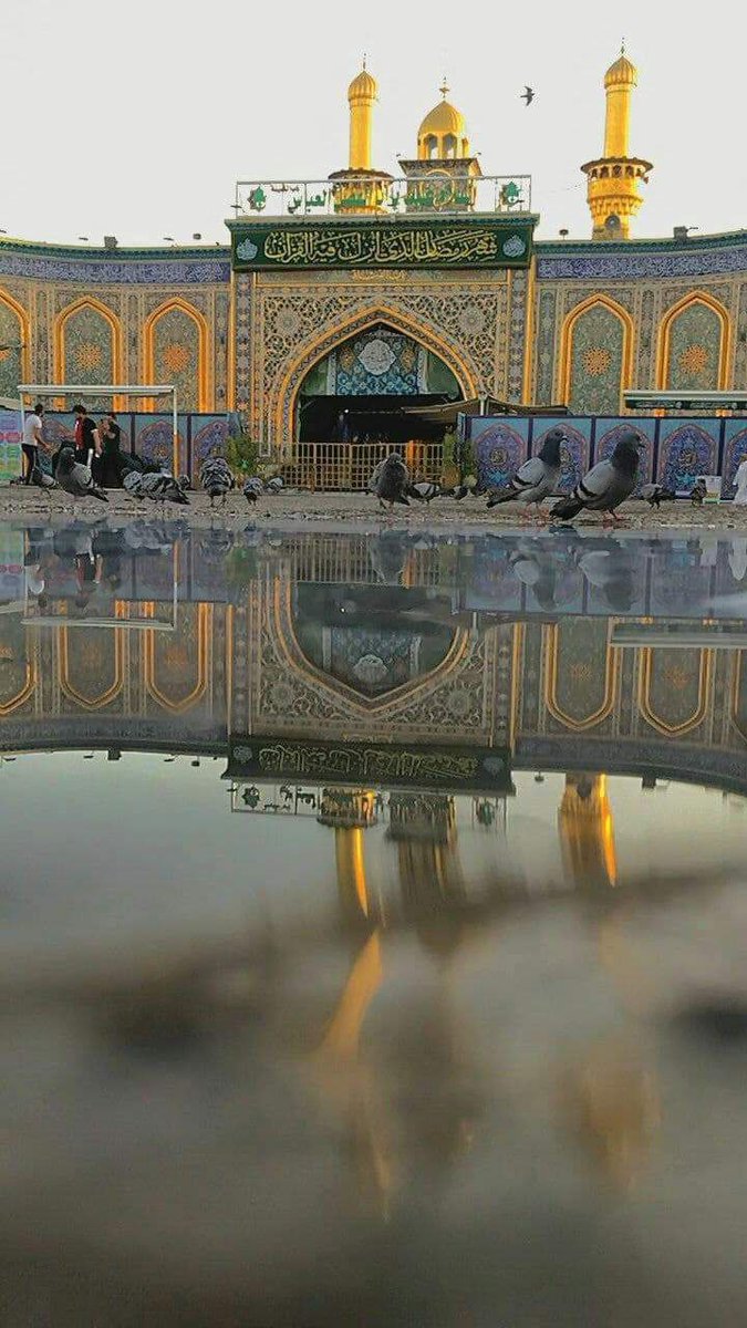 أين نذهَب حينَ يخذُلُنا كلّ شيء؟
- إلى العبّاس بن علي،💔!.