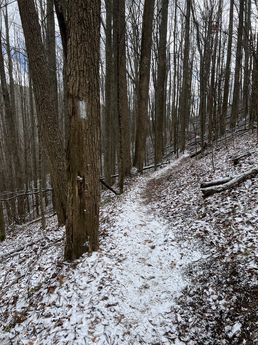 AT today about a 3/4 of a mile north of Sam’s Gap. A few waves of graupel moved through around noon but the warm saturated ground didn’t allow any real accumulation #ncwx