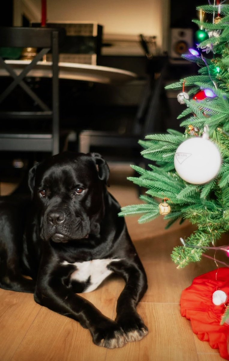 i'm such a beauty and i know it 🩷