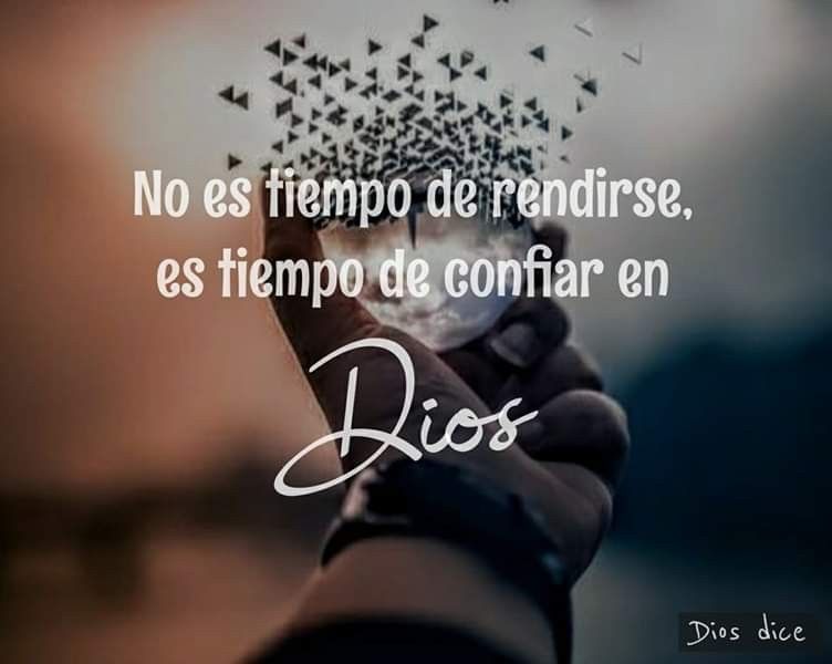 Rox L. tweet media