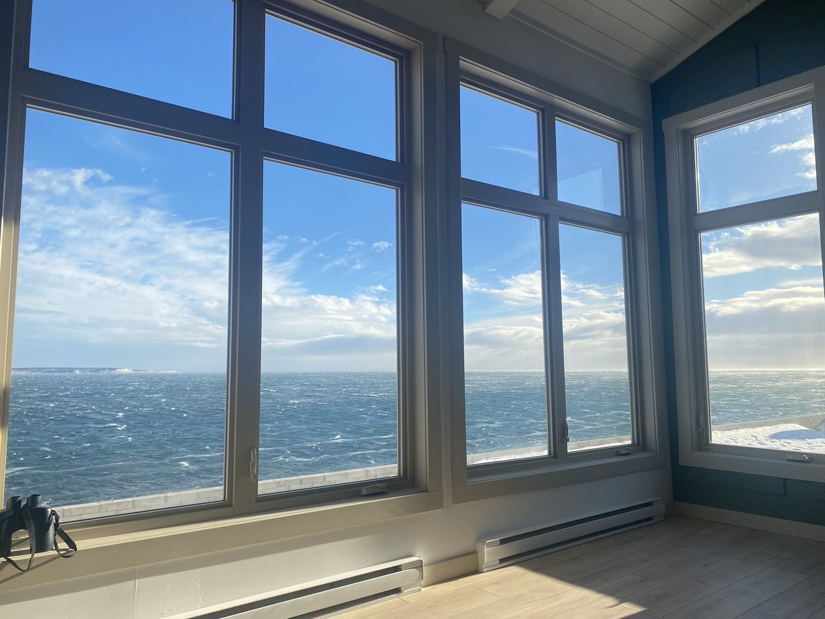 shanedumar's tweet image. What a view!#windy#lovelabrador#northatlantic
