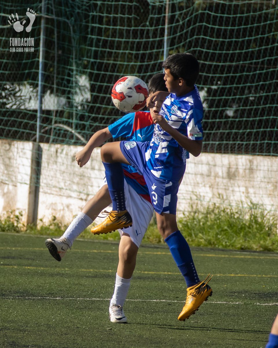 FCCPoficial's tweet photo. #KuarahyCup2024🏆🔵 | Categoría 2012

Cerro Porteño derrotó 4-3 a Futuras Estrellas por la 2da. fecha del Torneo Kuarahy 2024, los tantos fueron convertidos por Enzo Bello (2), Dylan Garcia y Gaston Medina 🌪

#FundaciónCCP🔵🔴 https://t.co/gNIOi5IP6v