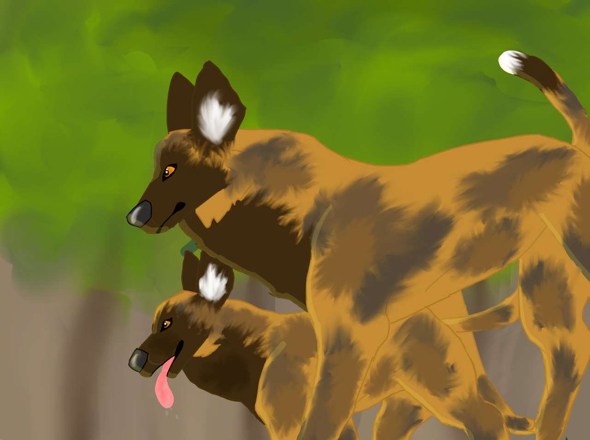 Do you know an aspiring young artist who loves animals? Encourage them to enter <a href="/ifawglobal/">ifaw</a>'s International Youth Art Contest, in celebration of World Wildlife Day!

Learn more and enter: ifaw.org/wwd-art-contest