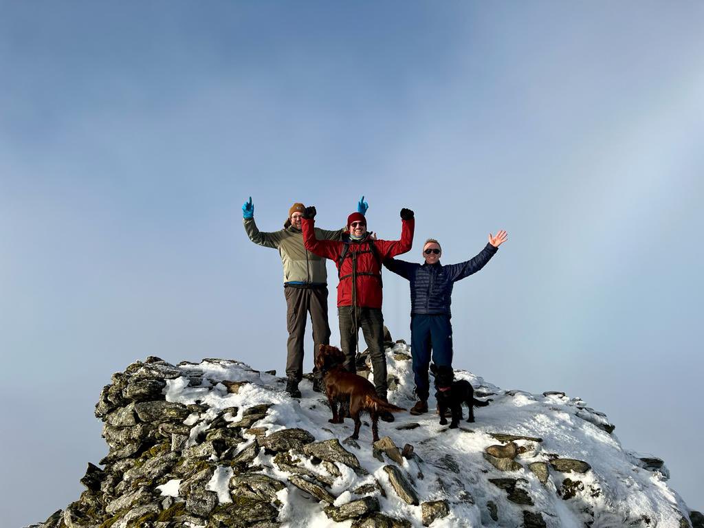 david mcdonald tweet media