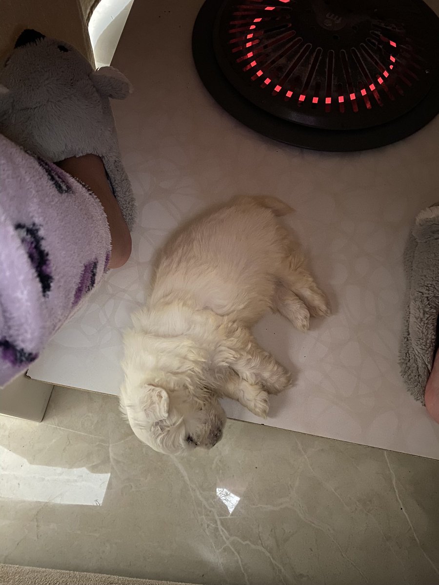 adejt7's tweet photo. Recap de Willy durmiendo https://t.co/by8cGvJvzg