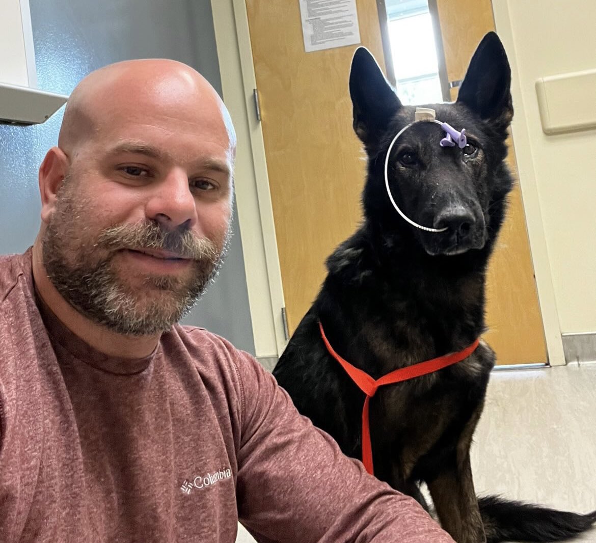 Love4PoliceDogs's tweet image. K9 Fam, I need your help. Retired K9 Rogue had emergency surgery yesterday &amp;amp; I’m hoping to help his handler/family with the cost. I appreciate every share!! Read and/or help here: gofund.me/ec7c8337 Thank you!