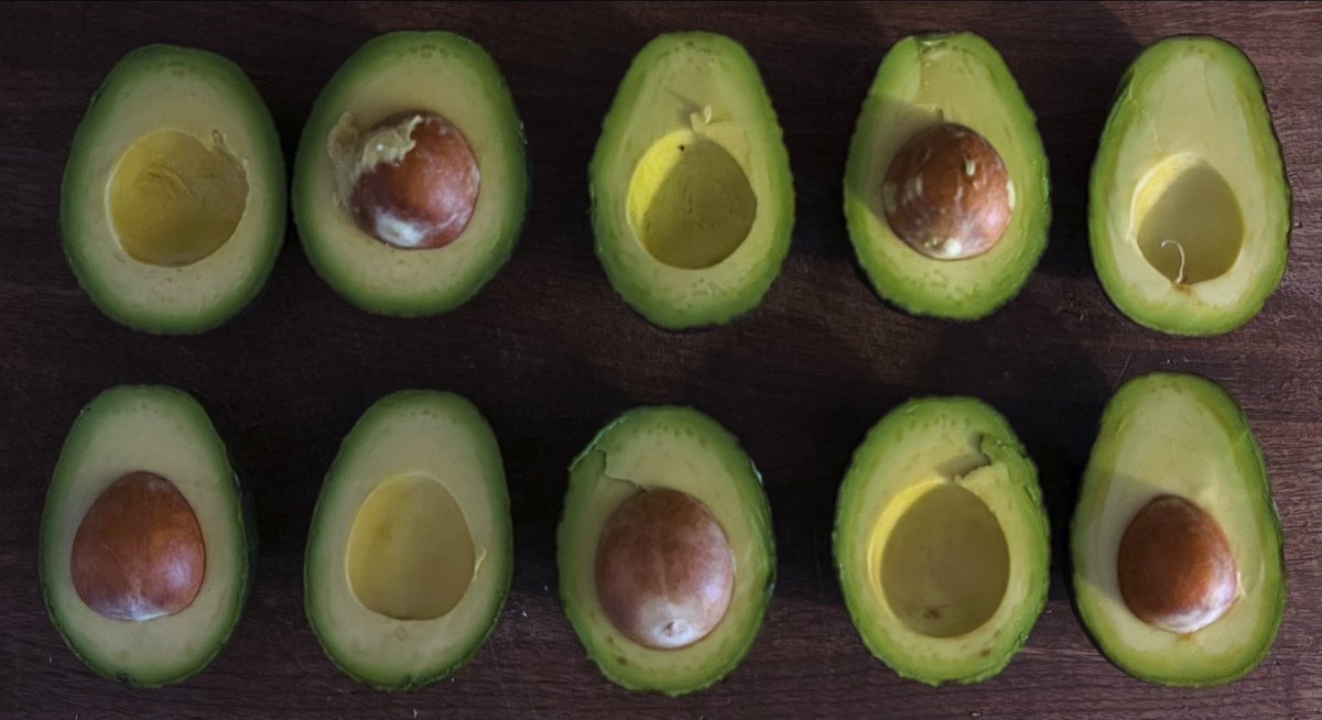 EveryoneCanMath's tweet image. How many…

🥑 avocado halves?
🥑 avocados?
🥑 pits?
🥑 more avocado halves are there than pits?

#lookformath #mathiseverywhere #tmwyk