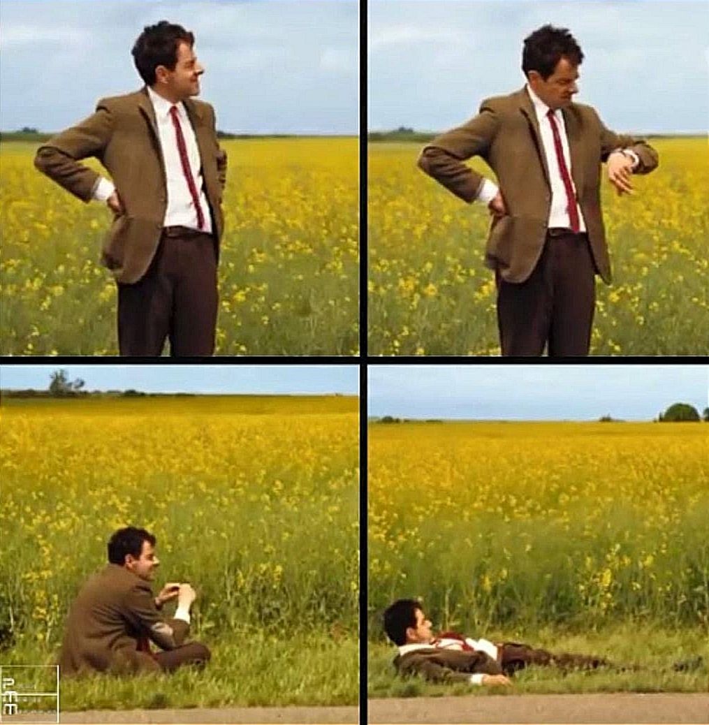 Bitcoin Teddy tweet media