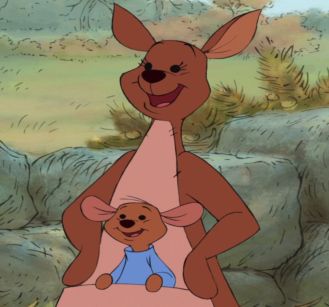 in my family there's a thing called a 'kangaroo moment.' it's basically when you realize something so incredibly obvious and you feel like a fool. we call it that bc one day in the car my dad suddenly realized that in winnie the pooh, kanga and roo were named that because, well,