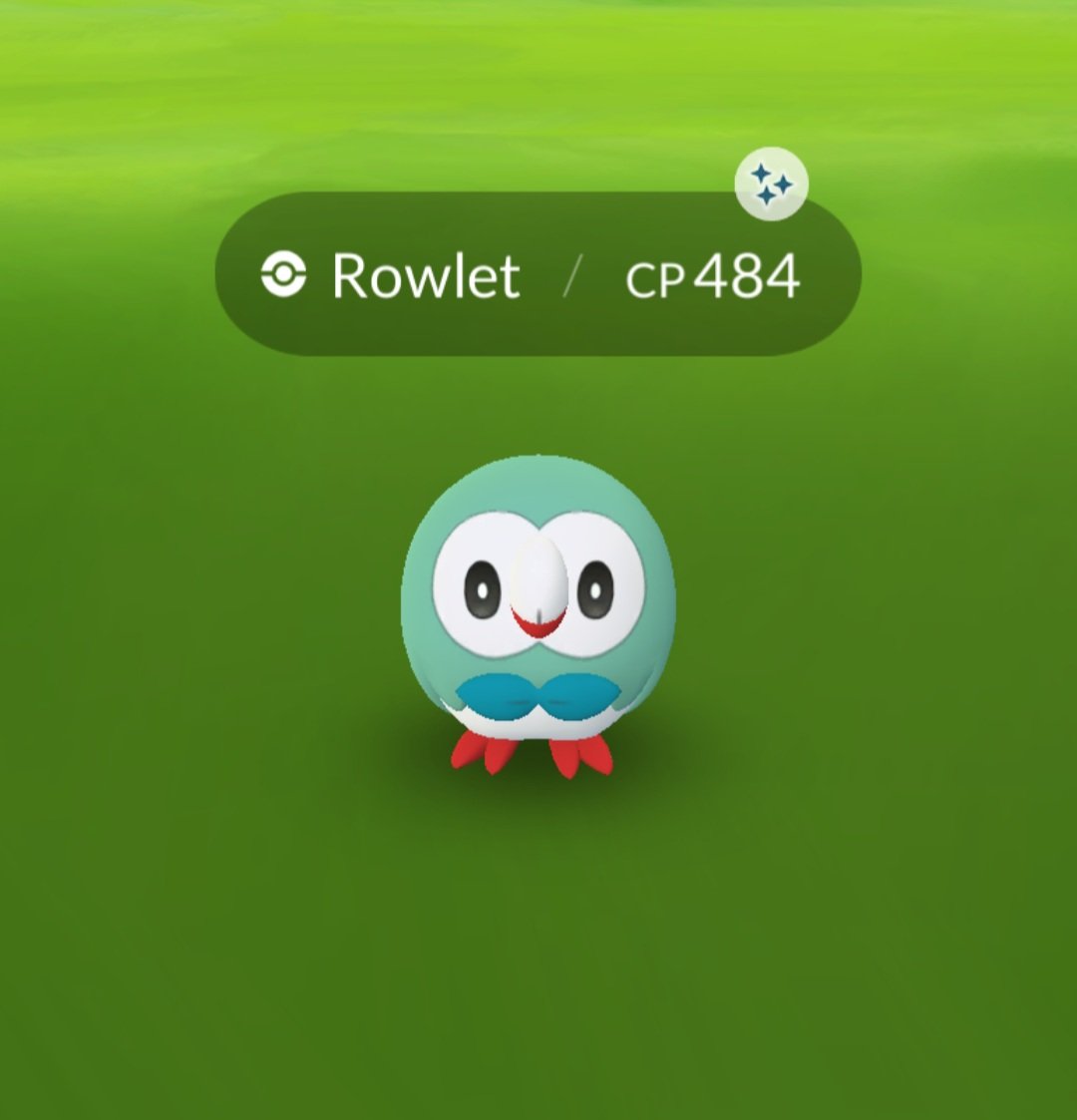 OrngRanger's tweet photo. Hope you all had a good community day for mint round owly! I didn't get much time to do it sadly but was able to get one!!
#OrngRanger #StayShiny #Shiny #ShinyPokemon #CommunityDay #Pokémon #Pokemon #PokemonGo #PokemonGoCommunityDay #Rowlet #ShinyRowlet #Owl #Owls #Twitch #CSSC https://t.co/CBBxC4VWSo