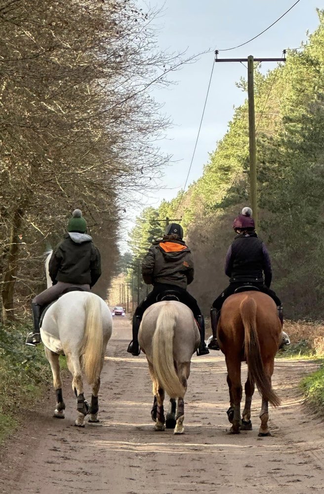 Had a lovely day out today with my friends &amp; their humans 😊🐎