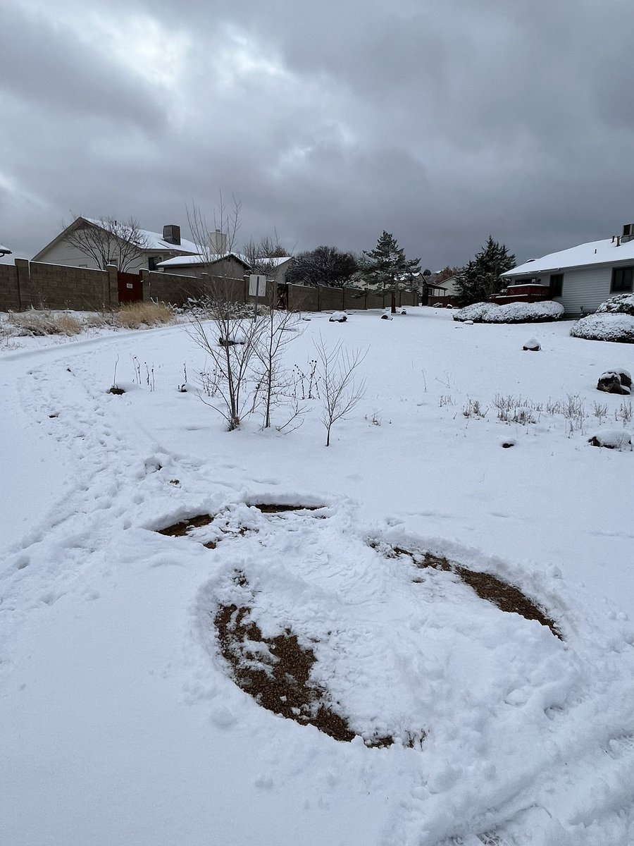 First snow of the season in #PrescottAZ! Snowy boughs, icy streets, & #snowangels. #ArizonaSnowstorm #ArizonaWinter