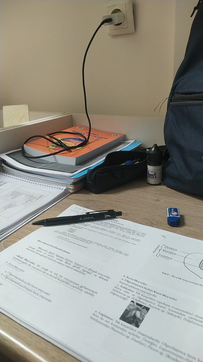 Finallere günü gününe çalışmayıp bir gün önceden başlayıp sabaha kadar ders çalışınca anlıyorsun ünide olduğunu...