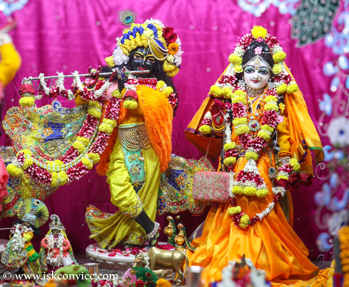 iskconvicc's tweet photo. Śrī Śrī Radha Gopal Darshan - 8/1/2024 @iskconvicc
.
.
.
#iskconvicc #iskconvaranasi #yellow #basanti #floweroffering #manglaarti #shringaraarti #darshanaarti #banaras #kashi #kashivishwanath #iskcon_world #monday #mondaymotivation #sobeautiful #mondaydarshan https://t.co/TGCp0igPYO