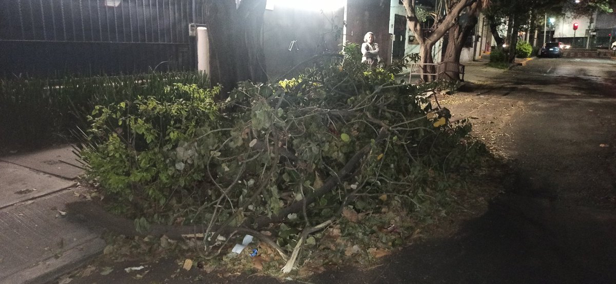 Macarena Montés tweet media