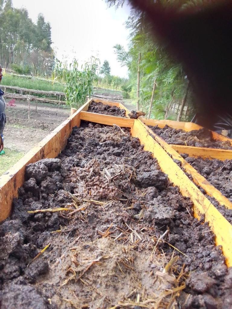AbiyAhmedAli's tweet photo. There are great benefits we can derive if we enhance our composting practices, particularly in our urban farming efforts. Composting improves soil properties, enables strong plant system, and increases plant growth and health. https://t.co/eK4Uc0WVP2
