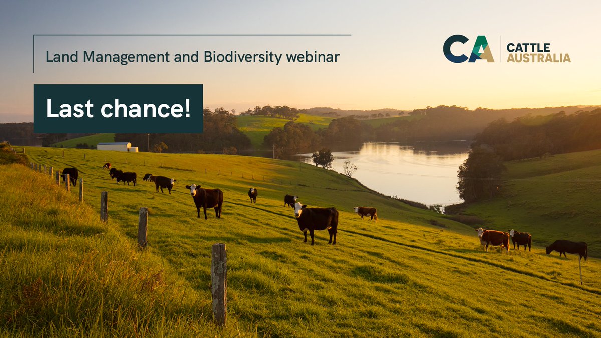 Don’t forget to join our webinar at 1pm (AEST) today, where we will discuss our commitment to creating national land management and biodiversity standards for beef production. Register now - bit.ly/CA-webinar-rego