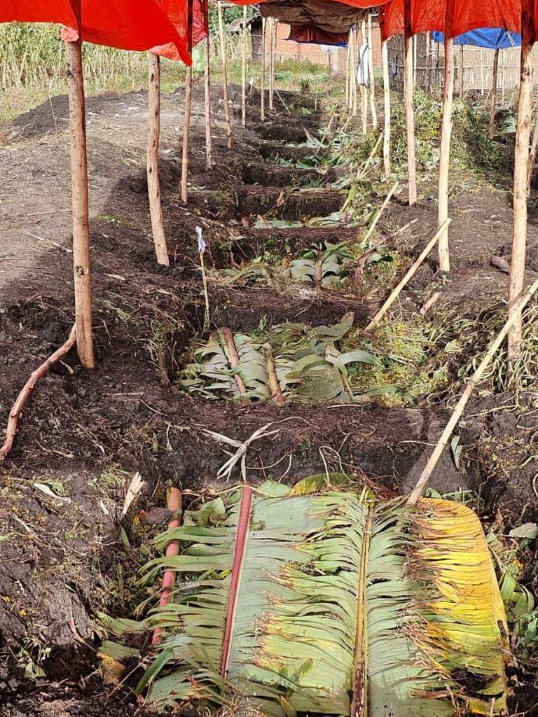 AbiyAhmedAli's tweet photo. There are great benefits we can derive if we enhance our composting practices, particularly in our urban farming efforts. Composting improves soil properties, enables strong plant system, and increases plant growth and health. https://t.co/eK4Uc0WVP2