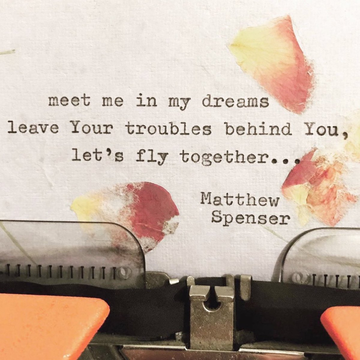MattNotJack's tweet photo. Happy Monday!! Have a beautiful week…
#poetryisnotdead #poet #poetry #poetsofig #typewriterseries #wordporn #poem https://t.co/u3unFcFnhc