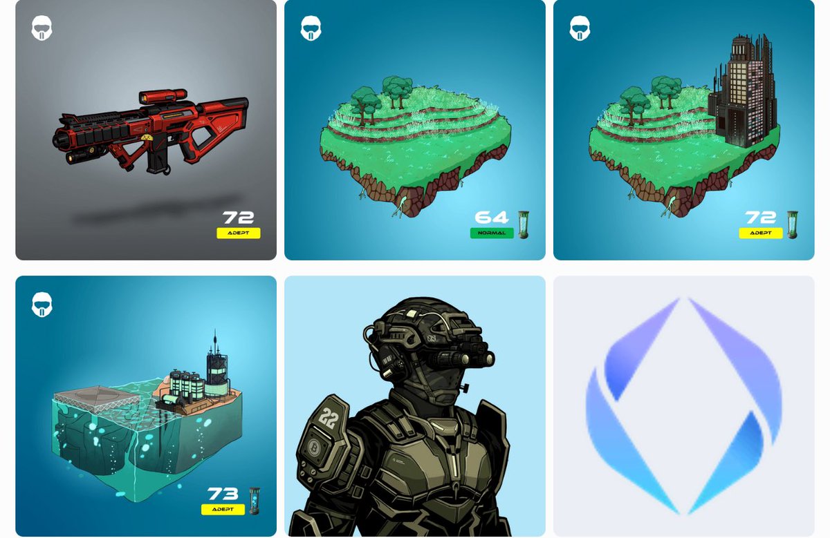 $ELON | ⒷAⒷⒷ Ambassador tweet media