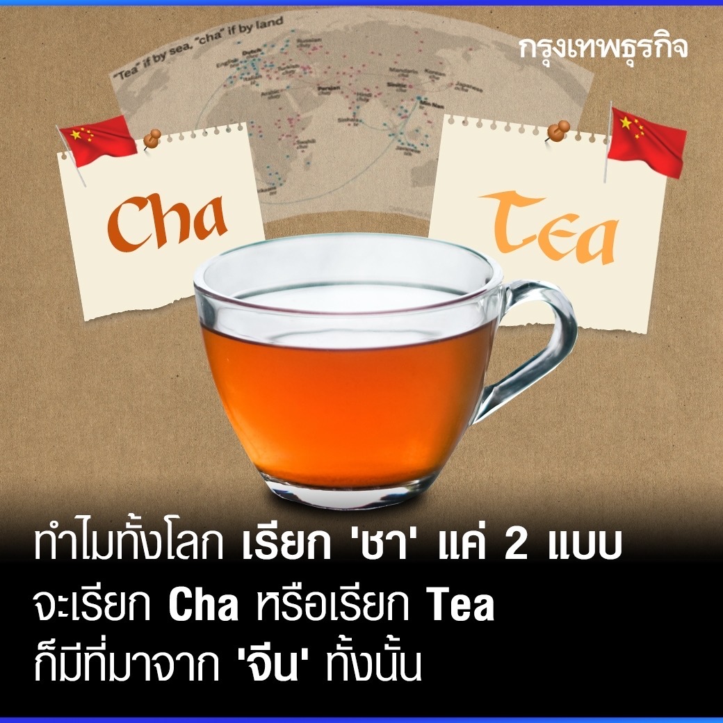กรุงเทพธุรกิจ tweet media