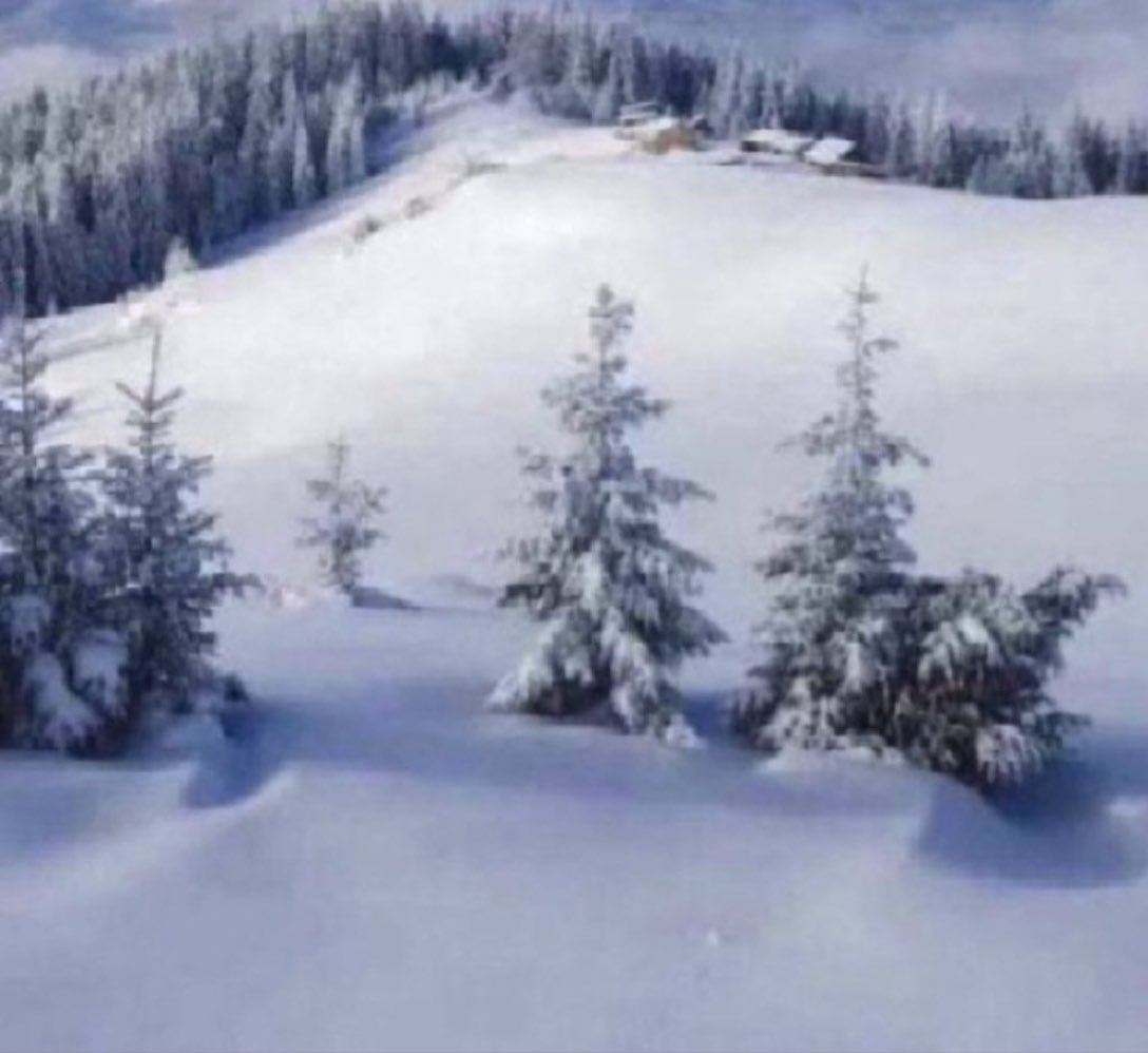 Өглөөний мэнд хүргэе