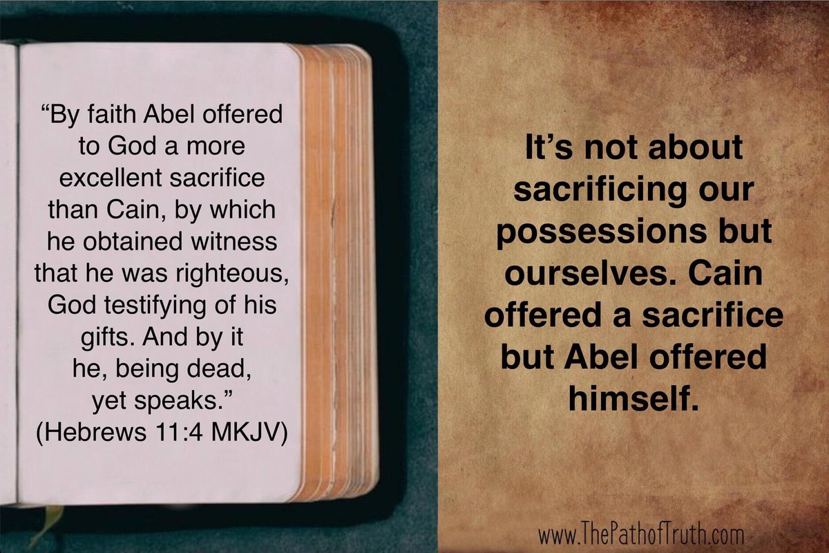 Victor Hafichuk tweet media