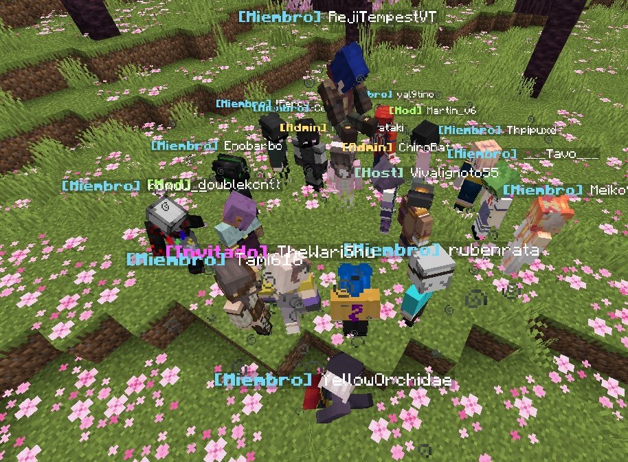 SummerMeadowSMP's tweet photo. Acá foto con todos los q estuvieron en el inicio muejeje https://t.co/vObUQGQlWu
