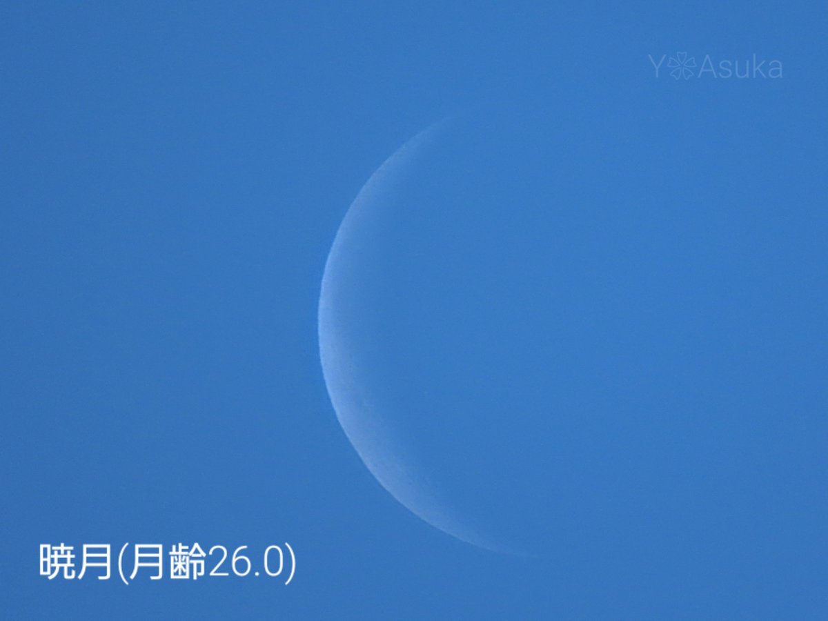 yumeasutw's tweet photo. #青空 にお日様燦々✨山々が霞む冷えた #成人の日 の朝☀️
南の空に白い #暁月 (月齢26.0)
２枚目にも月がいます。

予想最高/最低気温🌡️9℃/-4℃
晴れ☀️
お洗濯日和👕👖午後は北風そよそよの冬晴れに🌬️🍂

#イマツキ #月 #moon
#イマソラ
#空の名前
#天気の図鑑 #気象のはなし
#a2024  #a0108 #a202401 https://t.co/atNzmSJf5c