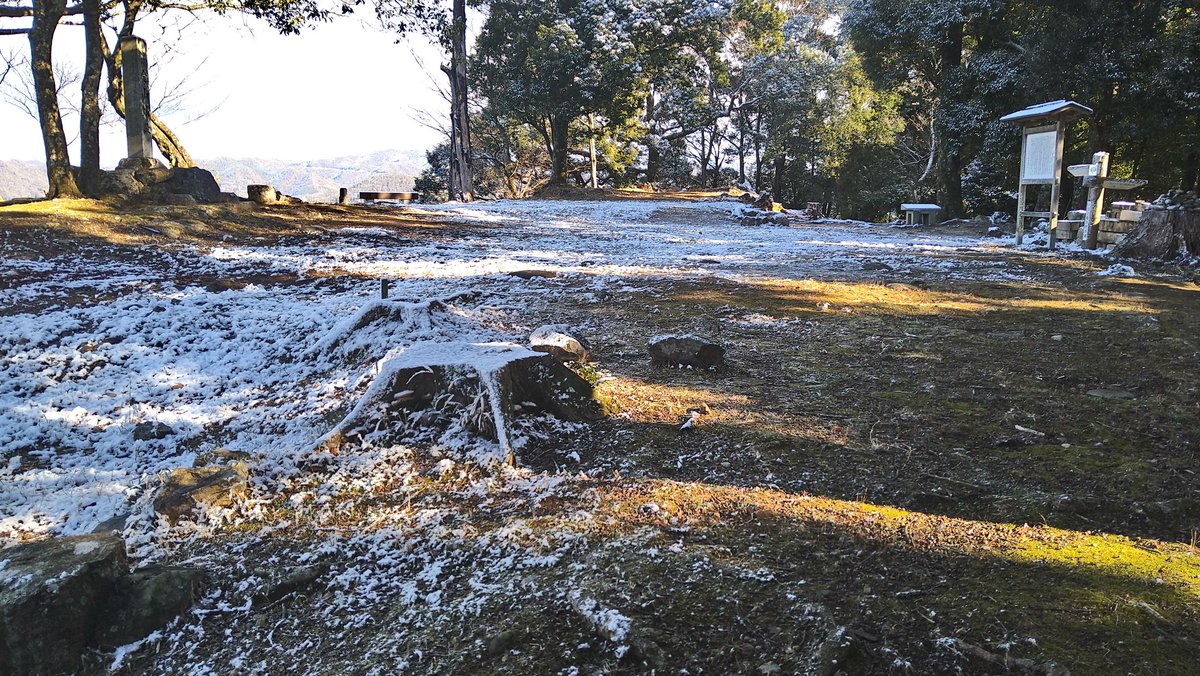 ぷれ(p_prelude) Twilog