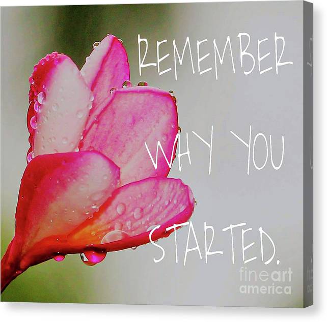 Remember Why You Started... 🌺 #motivationalthoughts Never give up... 'Keep it Going' photographic print is available in my shop as this #canvas #wallart as well as other #wallartforsale #homedecor and more 🌺 #Naturephotography #plumeria #gifts 3-joanne-carey.pixels.com 🌺