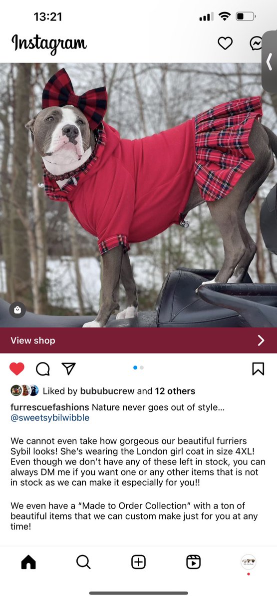 AliciaKClark's tweet photo. Check out the amazing FurRescueFashions!! They do custom designs, harnesses, collars, clothes, etc. and 30% proceeds go to @RescueCoop this month! @LolaPatolla https://t.co/OIRcCtww4O https://t.co/qsbAGcra0f