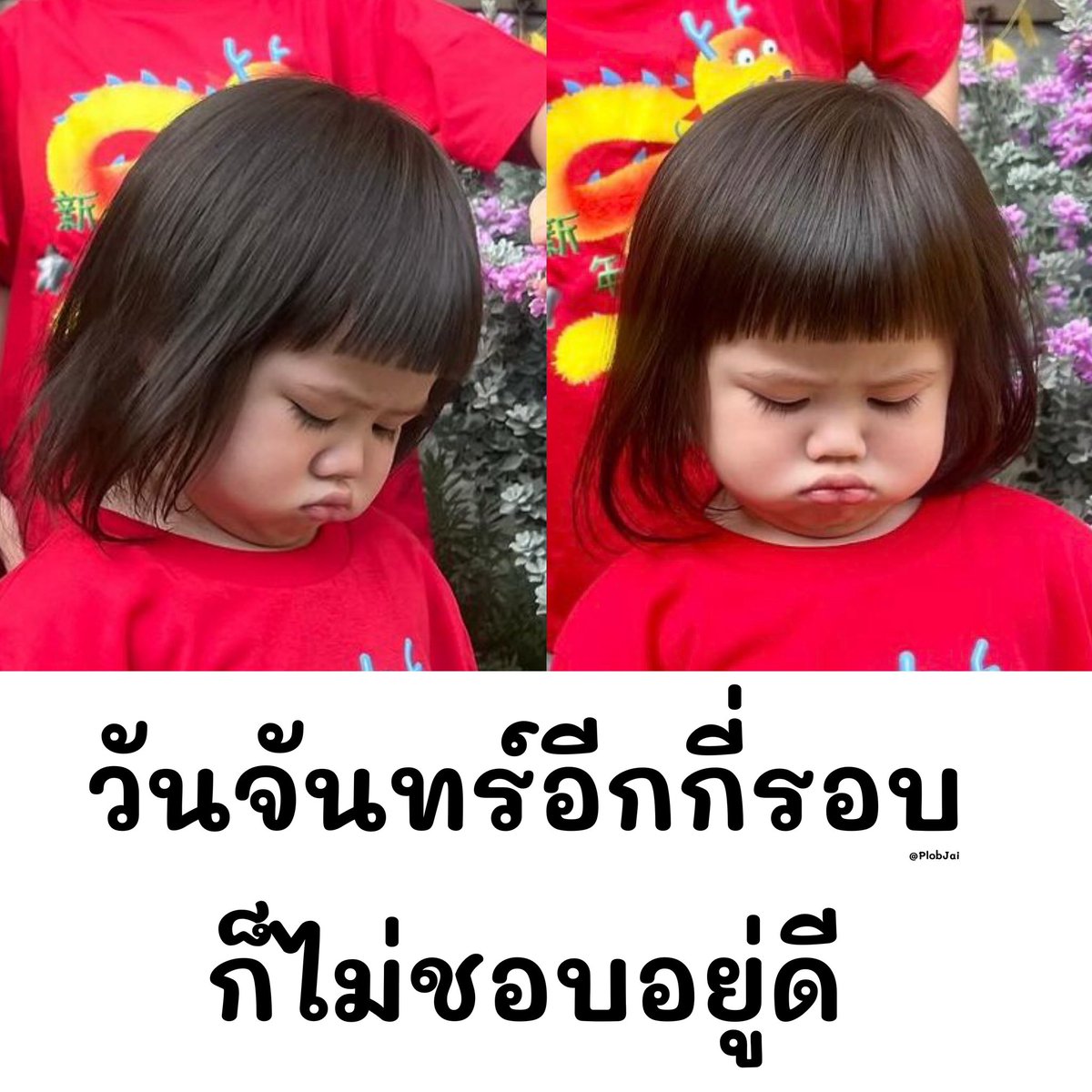 ꔛ 𓈒 ปลอบใจ tweet media