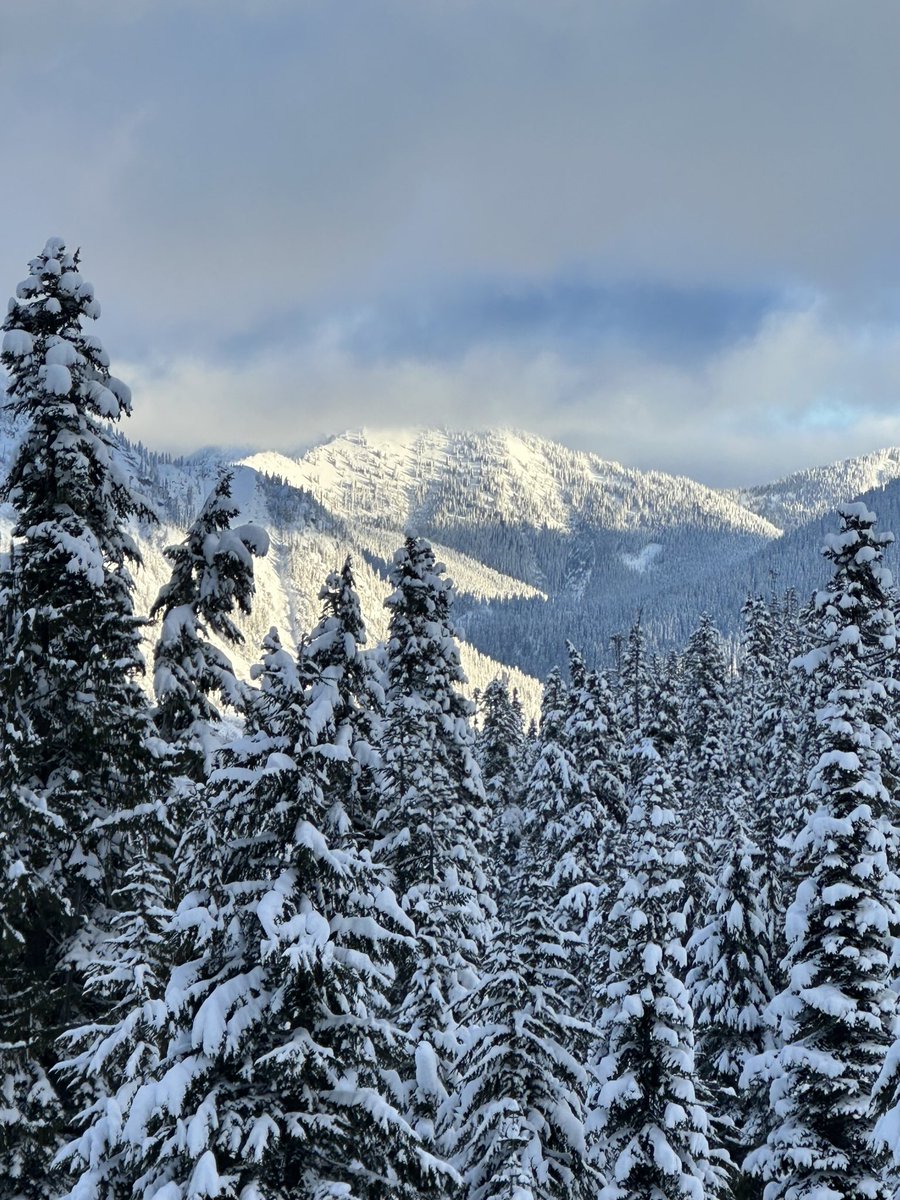 I have spent a lot of time in ski towns but the light in the PNW is special! #stevenspass