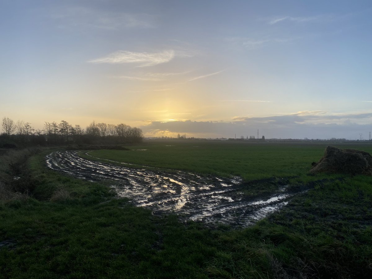 N I C (@coldwave66) on Twitter photo 