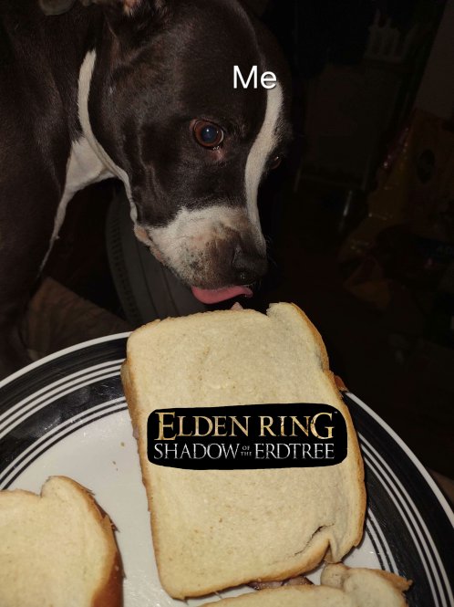 Me and Elden ring Shadow of the Erdtree