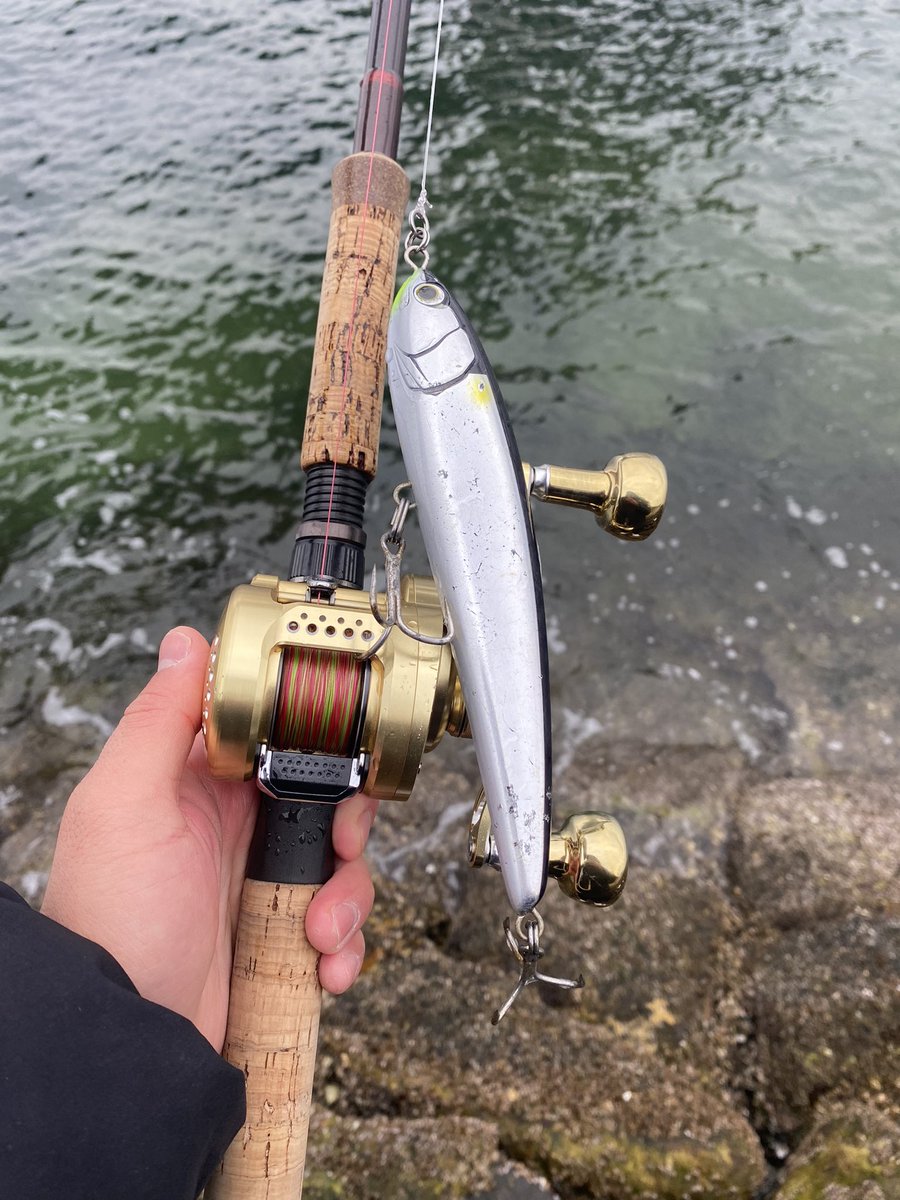 手袋忘れて手が死にそう。