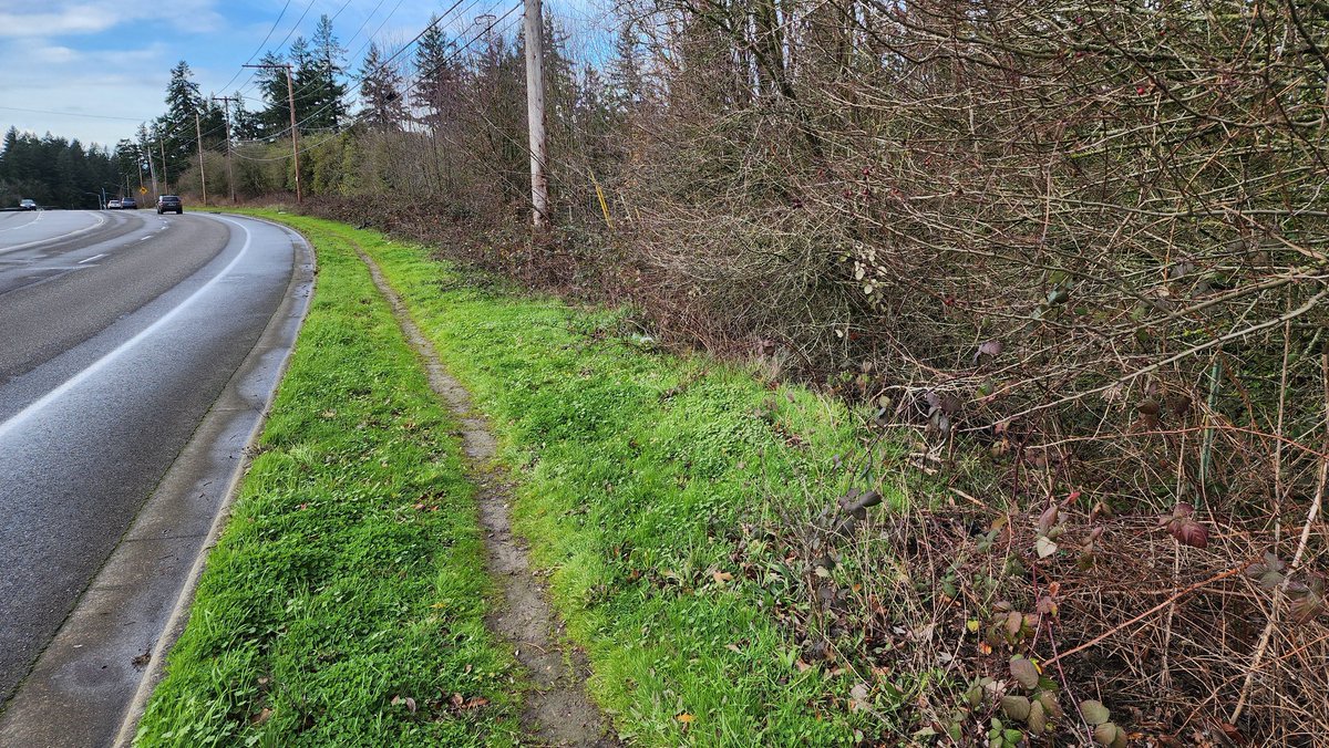 Seanathan Bates tweet media