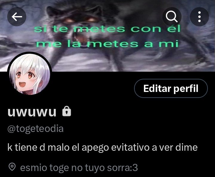 lita tweet media