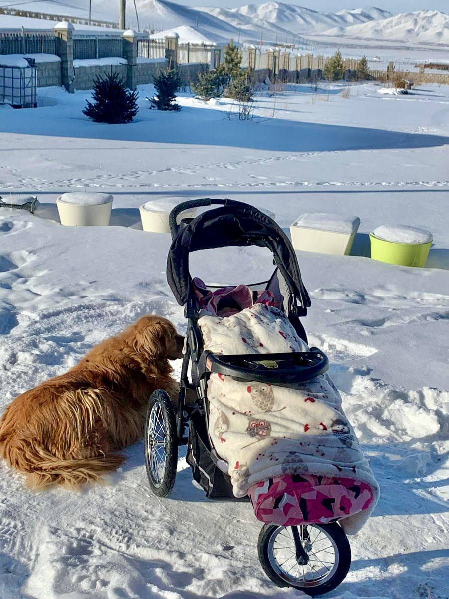 Рэни хүүхэд хардаг, маш хариуцлагатай гэнэ.