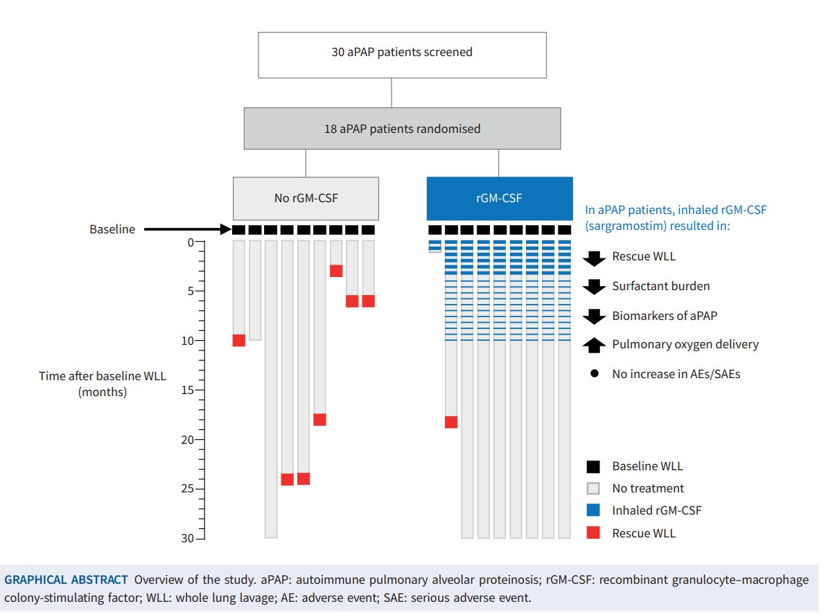 donsin4's tweet photo. A new treatment for autoimmune pulmonary alveolar proteinosis: Inhaled recombinant GM-CSF. Science delivers! https://t.co/GzA3bLjTM2 https://t.co/o2AKH0movJ